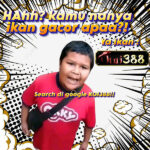 koi388-5169849